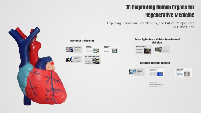 3D Bioprinting Human Organs for Regenerative Medicine by Gissell Pina ...