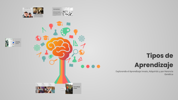 Tipos de Aprendizaje by mayra chaidez on Prezi
