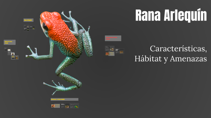 Rezi Rana Rana Arlequín by stiven quiroz on Prezi