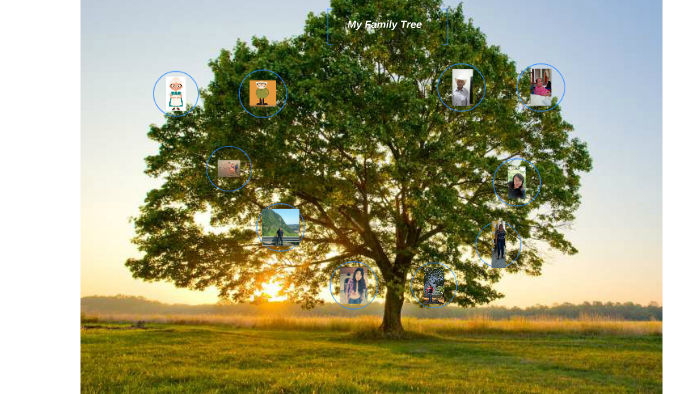 My Family Tree by Daniela Aguilar on Prezi