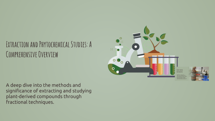 Extraction and Phytochemical Studies: A Comprehensive Overview by ...