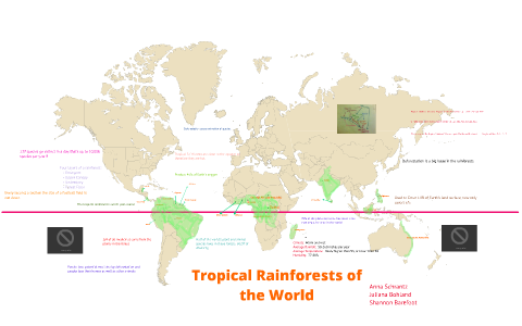 Tropical Rainforests of the World by Anna Schrantz on Prezi