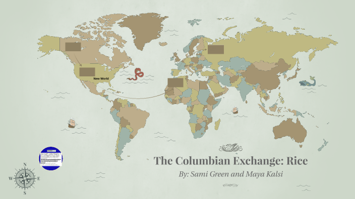 Columbian Exchange Project: Rice By Sami Green and Maya Kalsi by sami ...