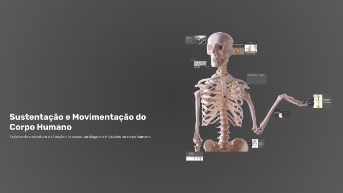 Sustentação e Movimentação do Corpo Humano by Vitor Brito on Prezi