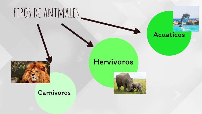 Animales carnivoros ,hervivoros y acuaticos by Cristian Daniel ...