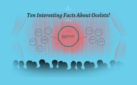 Ten Interesting Facts About Ocelots! by Eric Brown on Prezi