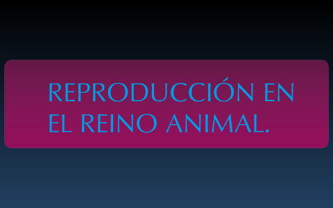 Reproducción en el rieno animal by Tamara Colinas Soriano