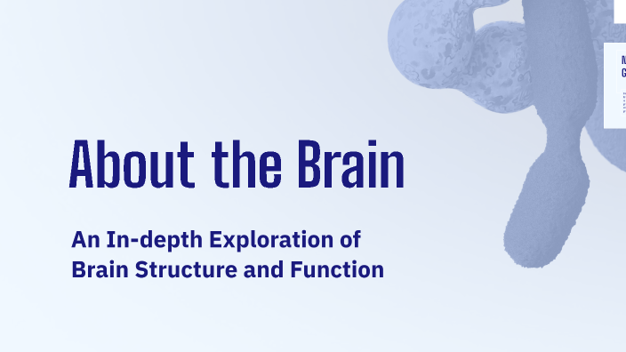 About the Brain by أميرة الشلوي on Prezi