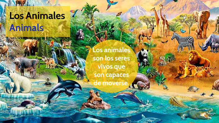 Animales by on Prezi