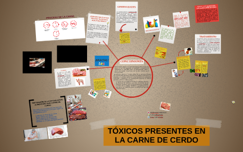 TÓXICOS PRESENTES EN LA CARNE DE CERDO by on Prezi