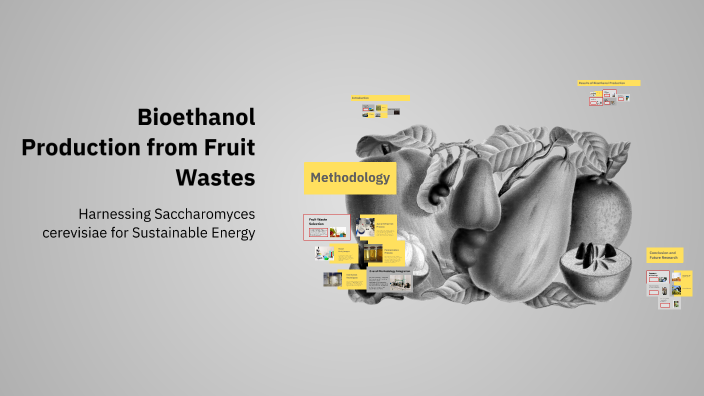 Bioethanol Production from Fruit Wastes by MURIMI G on Prezi