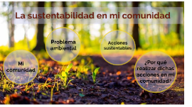 Copia de La sustentabilidad en mi comunidad
