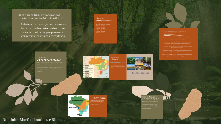 Domínios Morfoclimáticos e Biomas by JÚLIA LOPES on Prezi