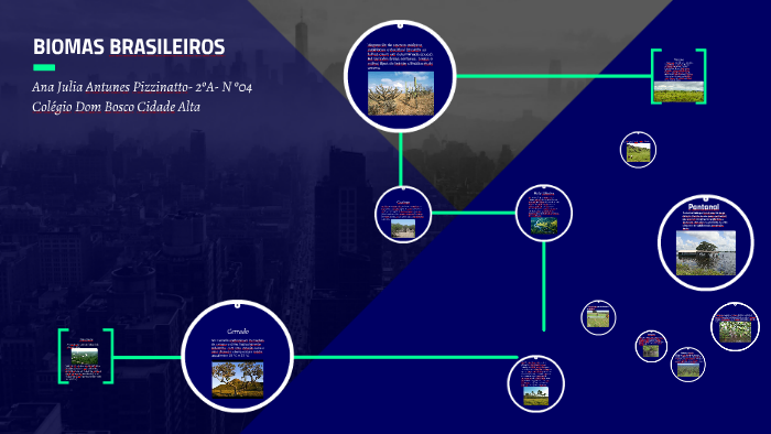 BIOMAS BRASILEIROS by sepirol ap on Prezi