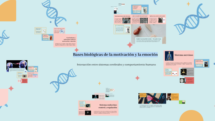 Bases Biológicas de la Motivación y la Emoción by Lizet Cruz Aguilar on ...