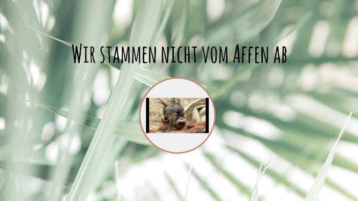 Menschen Stammen Nicht Vom Affen Ab prezi.com
