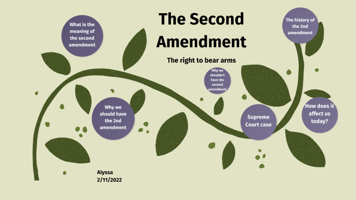 The Second Amendment by ALYSSA BARBER on Prezi