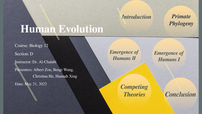 Human Evolution by on Prezi