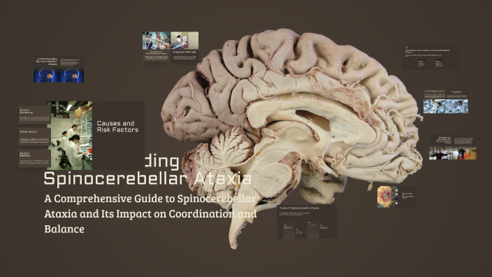 Understanding Spinocerebellar Ataxia by Heidi Aarts on Prezi