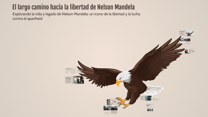 El largo camino hacia la libertad de Nelson Mandela by Recurso Humanos ...