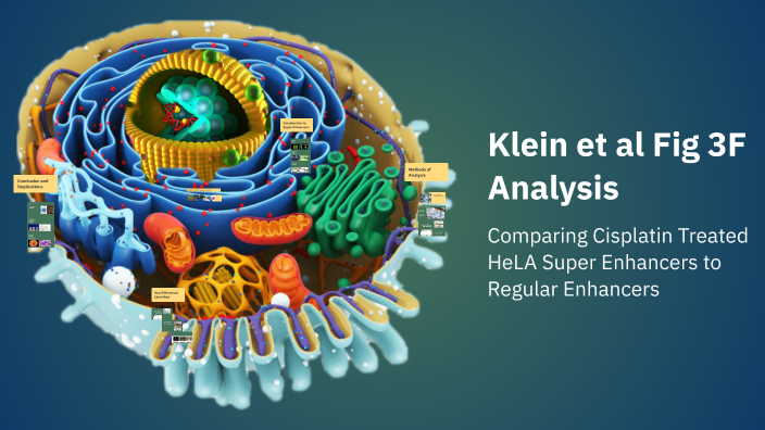 Klein et al Fig 3F Analysis by Andrew Wang on Prezi