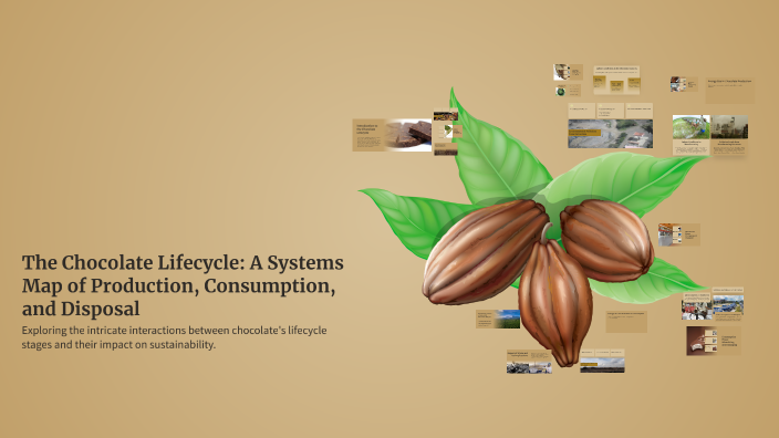 The Chocolate Lifecycle: A Systems Map of Production, Consumption, and ...