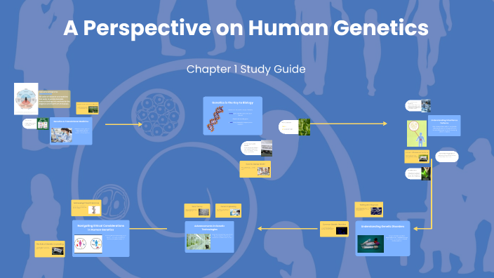 Understanding Human Genetics by ANGELA CARVAJAL on Prezi