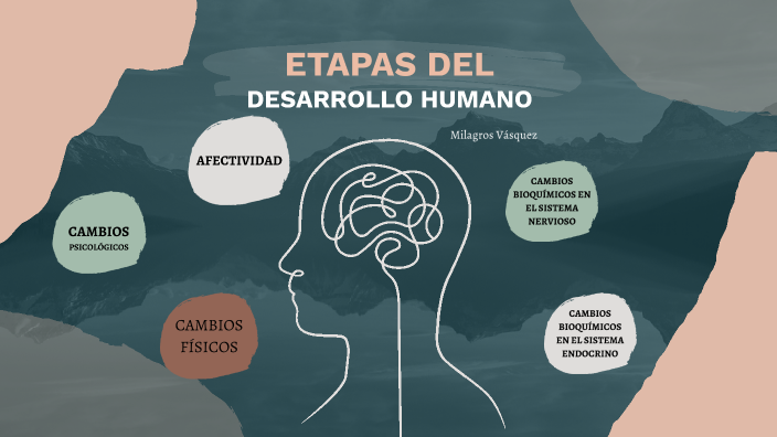 ETAPAS DEL DESARROLLO HUMANO by Milagros Vásquez on Prezi