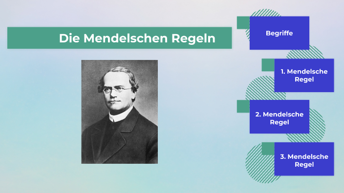 Die Mendelschen Regeln By Alexandra Weßollek On Prezi