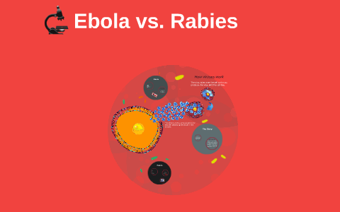 Ebola vs. Rabies by on Prezi