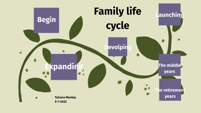 What Do Family Life Cycle Mean