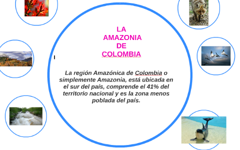 LA AMAZONIA DE COLOMBIA by Adriana Paola Chazatar Galindo on Prezi