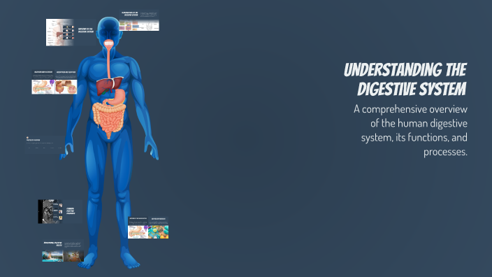 Understanding the Digestive System by Jean Carlos Zabala on Prezi