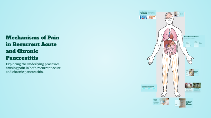 Mechanisms of Pain in Recurrent Acute and Chronic Pancreatitis by ...