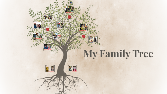 My Family Tree by José A Pereira S on Prezi