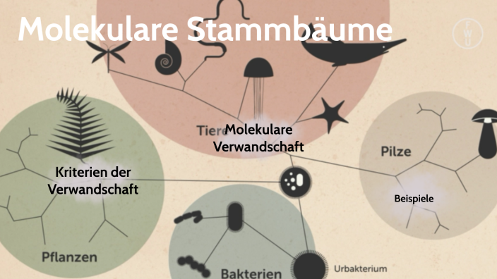molekulare Stammbäume by Benjamin Barthel