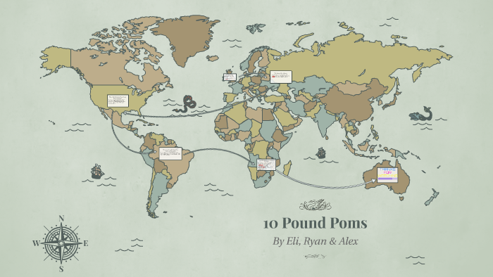 10-pound-pom-by-sheryl-hardy-on-prezi
