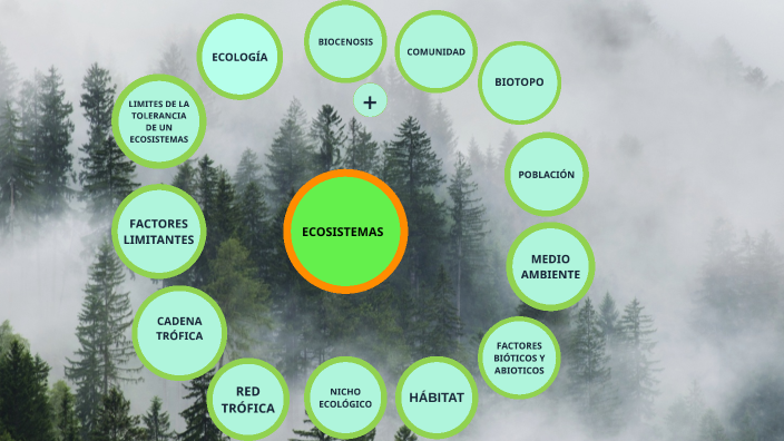 MAPA MENTAL DE LOS ECOSISTEMAS by Hector Adames on Prezi