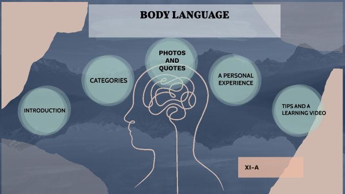 Body language by Selma Ibro on Prezi