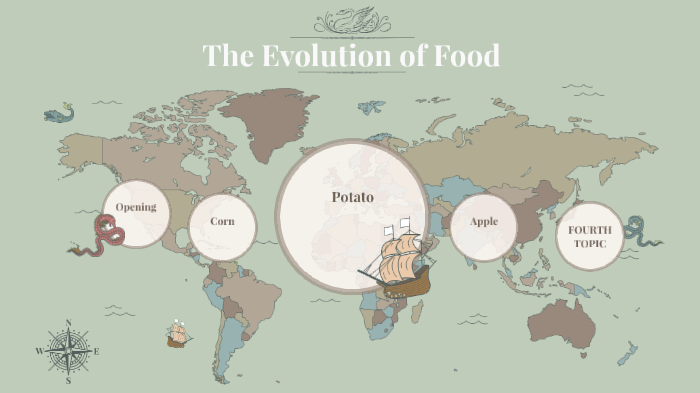 essay on evolution of food