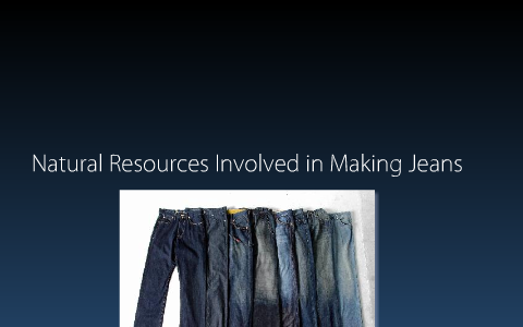 Lv Print Jeans  Natural Resource Department