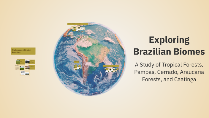 Exploring Brazilian Biomes by Vanessa Leroy on Prezi