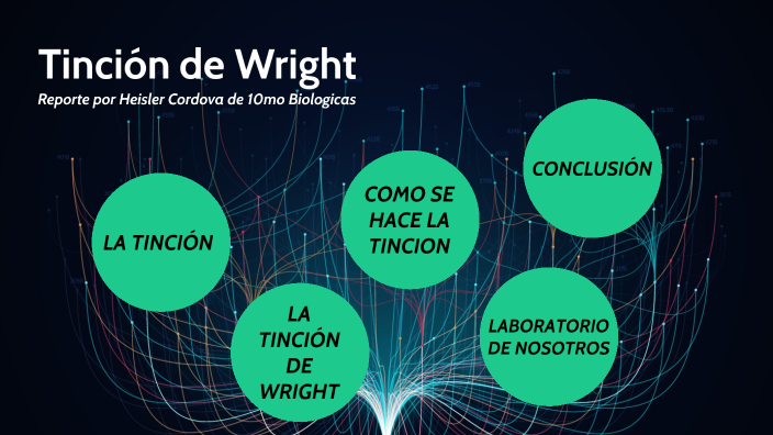 Tinción de Wright HC by HEISLER CORDOVA on Prezi