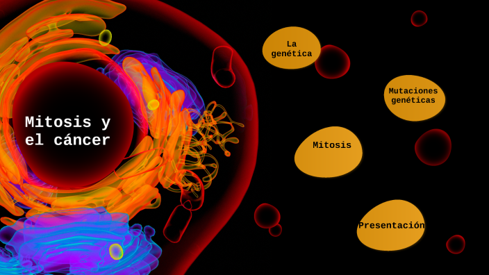 Mitosis Y El Cáncer By Beth Osbourne