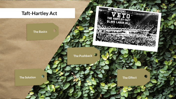 Taft-Hartley Act by Allison Hunt