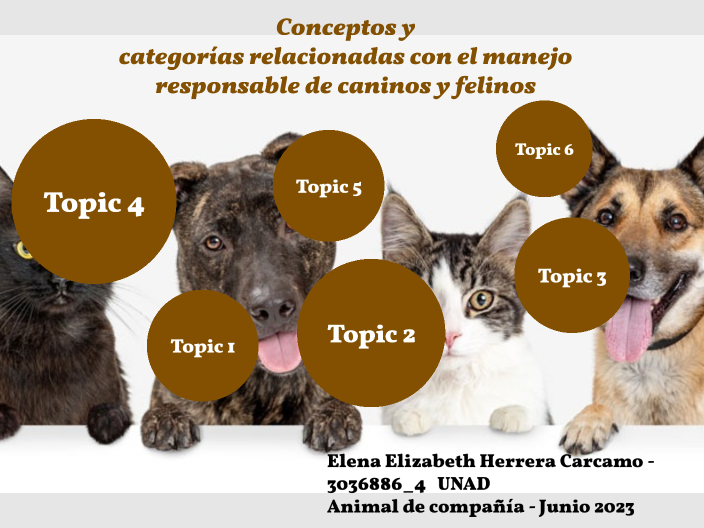 Conceptos Y Categorías Relacionadas Con El Manejo De Caninos Y Felinos By Wilmar Eliecer Arias 0302
