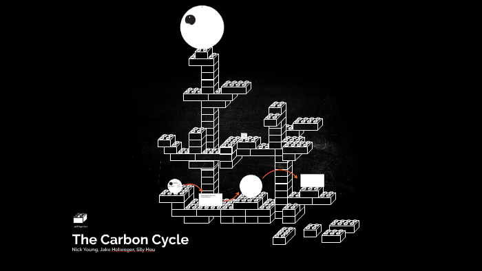 The Carbon Cycle by Jake Holweger on Prezi