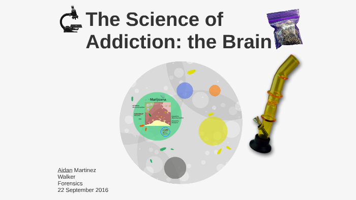 Science Addiction The Science of Addiction: the Brain by Aidan Martinez on Prezi