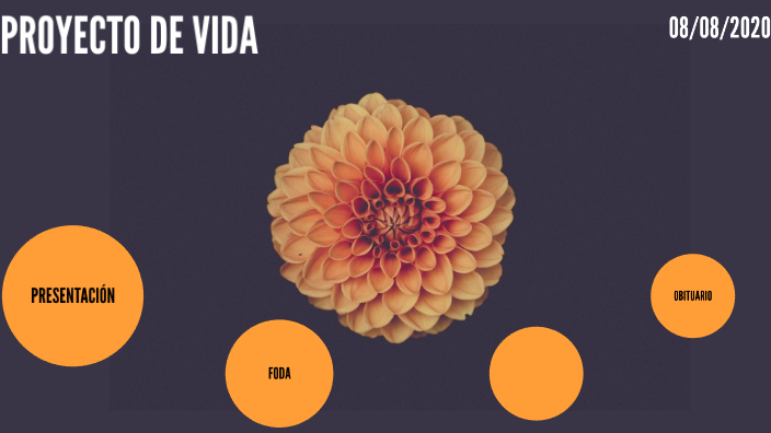 PROYECTO DE VIDA by ANABEL HERNANDEZ on Prezi