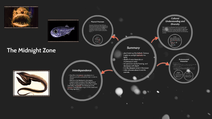 The Midnight Zone by Elise Uzokwe